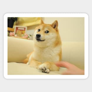 Doge Sticker